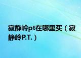 寂静岭pt在哪里买（寂静岭P.T.）
