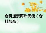 仓科加奈海岸天使（仓科加奈）