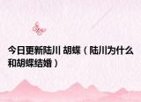 今日更新陆川 胡蝶（陆川为什么和胡蝶结婚）