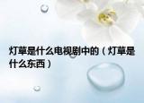 灯草是什么电视剧中的（灯草是什么东西）