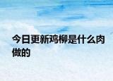 今日更新鸡柳是什么肉做的