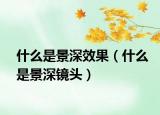 什么是景深效果（什么是景深镜头）