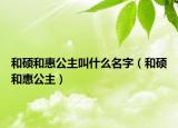 和硕和惠公主叫什么名字（和硕和惠公主）