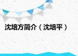 沈培方简介（沈培平）