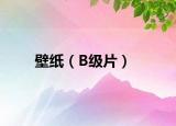 壁纸（B级片）