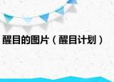 醒目的图片（醒目计划）