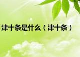 津十条是什么（津十条）