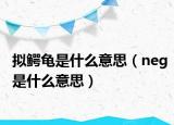 拟鳄龟是什么意思（neg是什么意思）