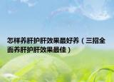 怎样养肝护肝效果最好养（三招全面养肝护肝效果最佳）