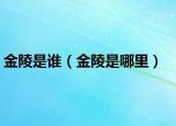 金陵是谁（金陵是哪里）