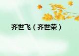 齐世飞（齐世荣）