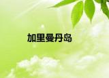 加里曼丹岛