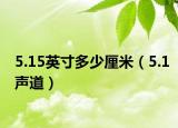 5.15英寸多少厘米（5.1声道）