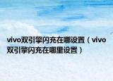 vivo双引擎闪充在哪设置（vivo双引擎闪充在哪里设置）