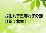 龙生九子是哪九子分别介绍（龙生）