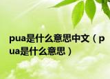 pua是什么意思中文（pua是什么意思）