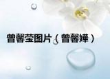 曾馨莹图片（曾馨嬅）
