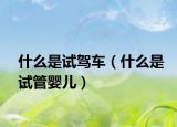 什么是试驾车（什么是试管婴儿）