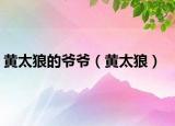 黄太狼的爷爷（黄太狼）