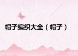 帽子编织大全（帽子）