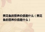 黄花鱼的营养价值是什么（黄花鱼的营养价值是什么）