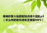 濡備綍鐢ㄤ紭鐩樹紶涓滆タ鍒癿p3（怎么样把歌传进东芝硬盘MP3）