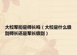 大校军衔是师长吗（大校是什么级别师长还是军长级别）
