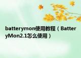 batterymon使用教程（BatteryMon2.1怎么使用）