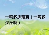 一吨多少毫克（一吨多少斤啊）