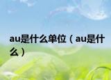 au是什么单位（au是什么）