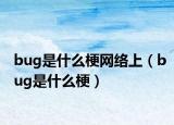 bug是什么梗网络上（bug是什么梗）