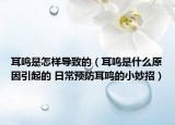 耳鸣是怎样导致的（耳鸣是什么原因引起的 日常预防耳鸣的小妙招）