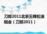 刀郎2011北京五棵松演唱会（刀郎2011）