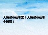 天使瀑布在哪里（天使瀑布在哪个国家）
