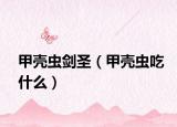 甲壳虫剑圣（甲壳虫吃什么）