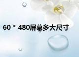 60 * 480屏幕多大尺寸