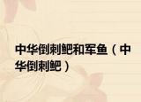 中华倒刺鲃和军鱼（中华倒刺鲃）