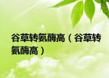 谷草转氨酶高（谷草转氨酶高）