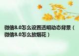 微信8.0怎么设置透明动态背景（微信8.0怎么放烟花）