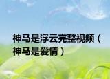 神马是浮云完整视频（神马是爱情）