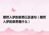酣然入梦的意思以及造句（酣然入梦的意思是什么）