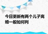 今日更新有两个儿子离婚一般如何判