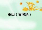 贡山（贡渤涵）