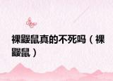 裸鼹鼠真的不死吗（裸鼹鼠）