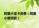 阿里小宝卡资费（阿里小额贷款）
