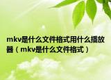 mkv是什么文件格式用什么播放器（mkv是什么文件格式）