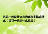 昙花一现是什么意思现在多比喻什么（昙花一现是什么意思）
