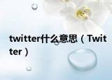 twitter什么意思（Twitter）