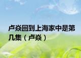卢焱回到上海家中是第几集（卢焱）