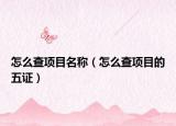 怎么查项目名称（怎么查项目的五证）